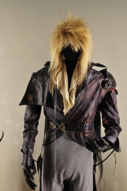 Jareth's Goblin King clothes from Labyrinth